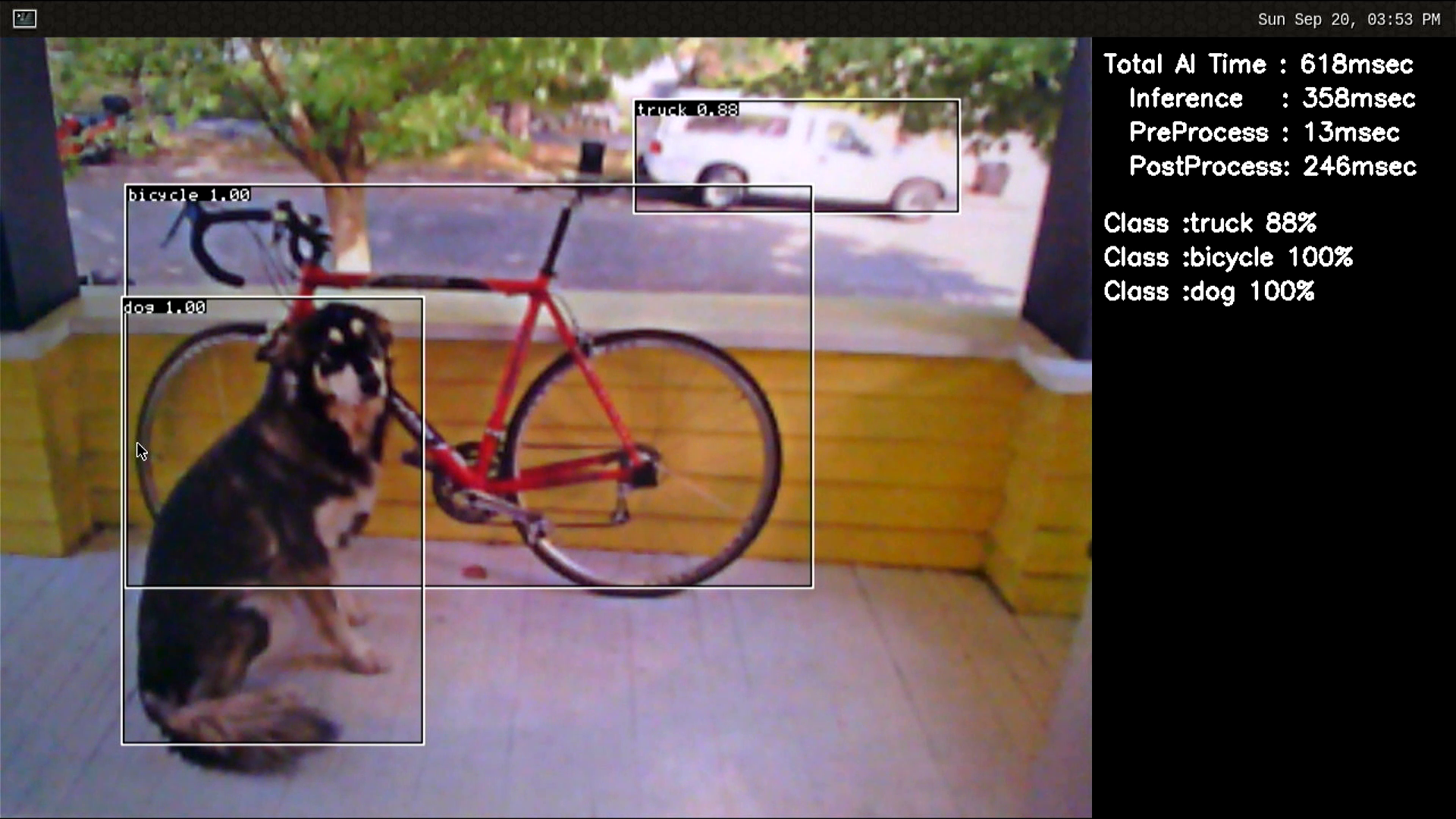 object_detection