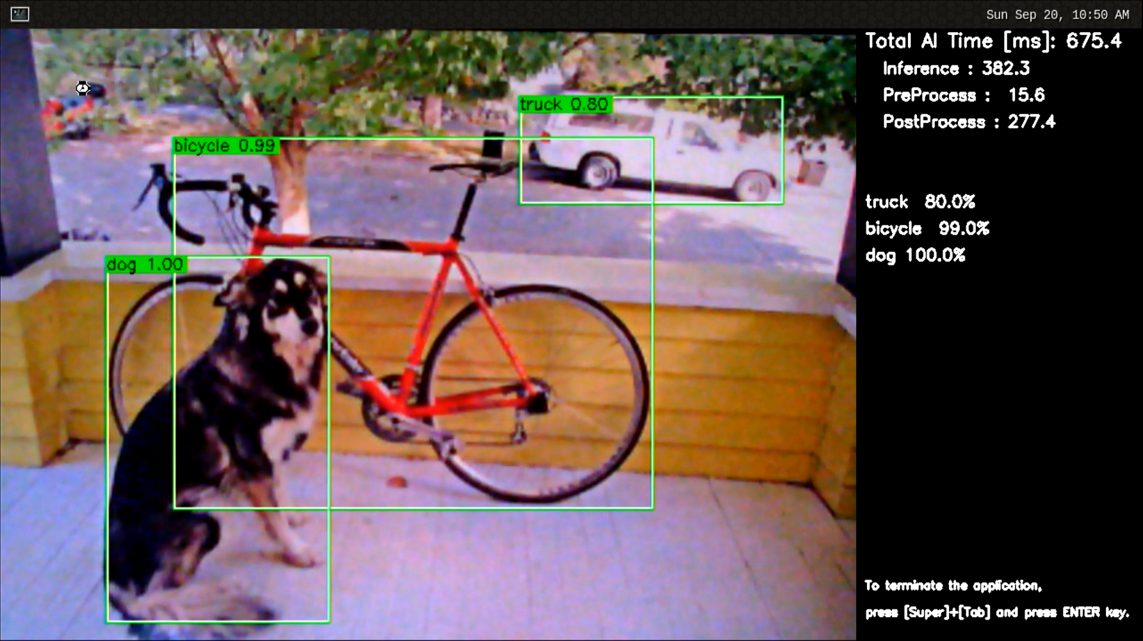 object_detection