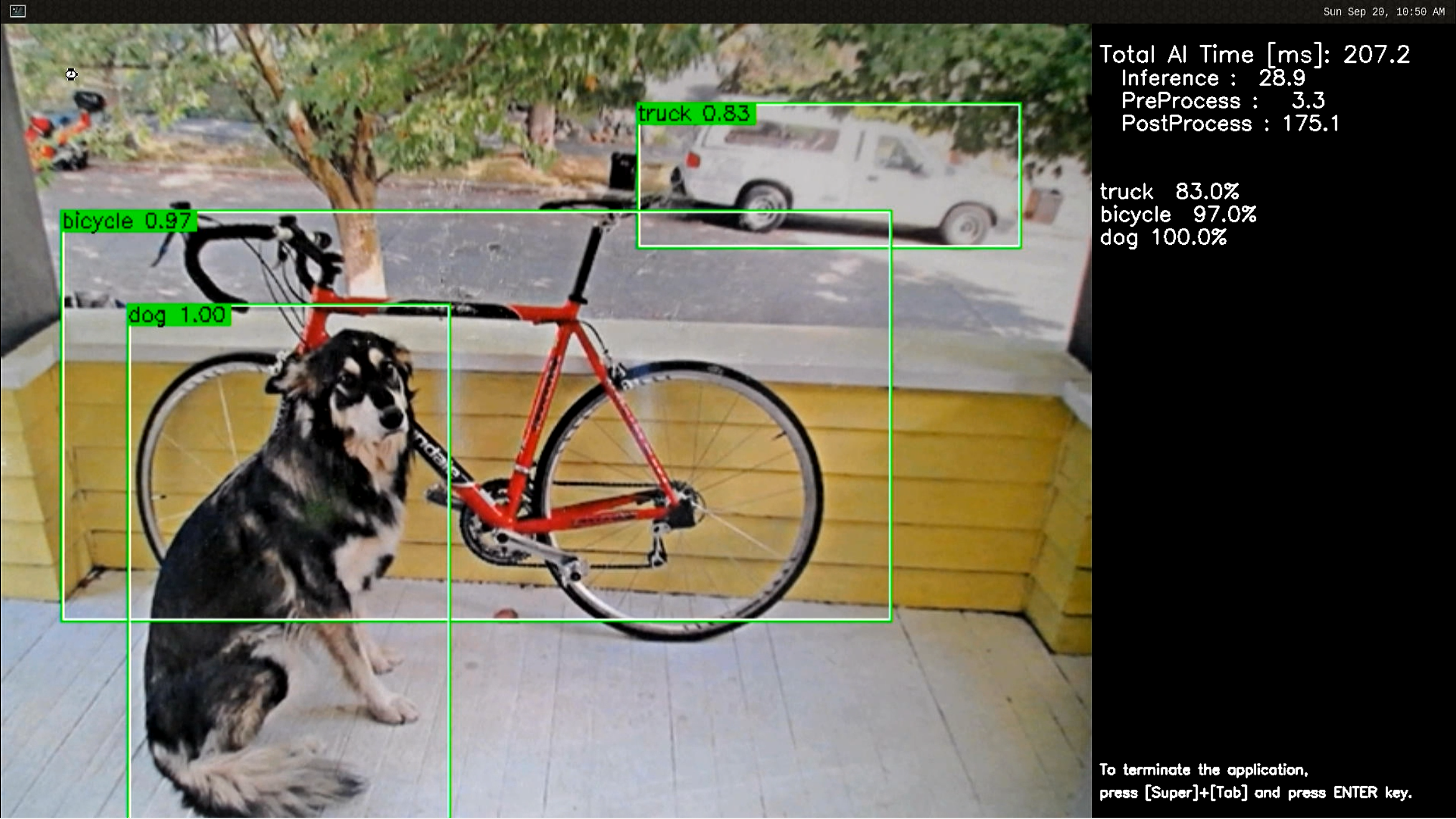 object_detection