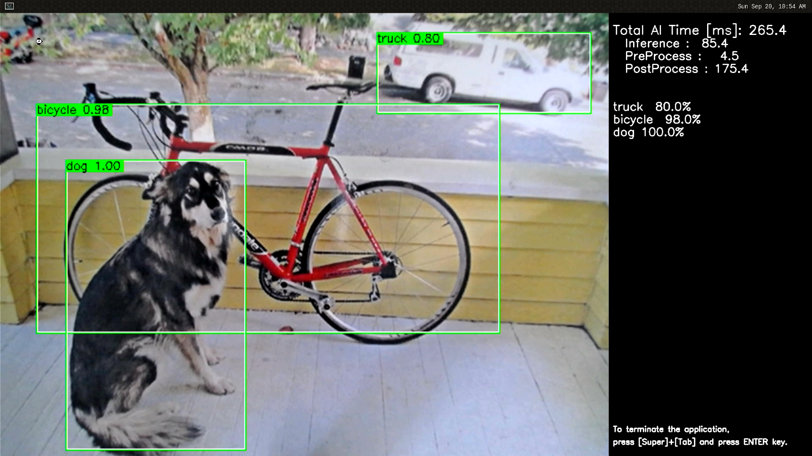 object_detection