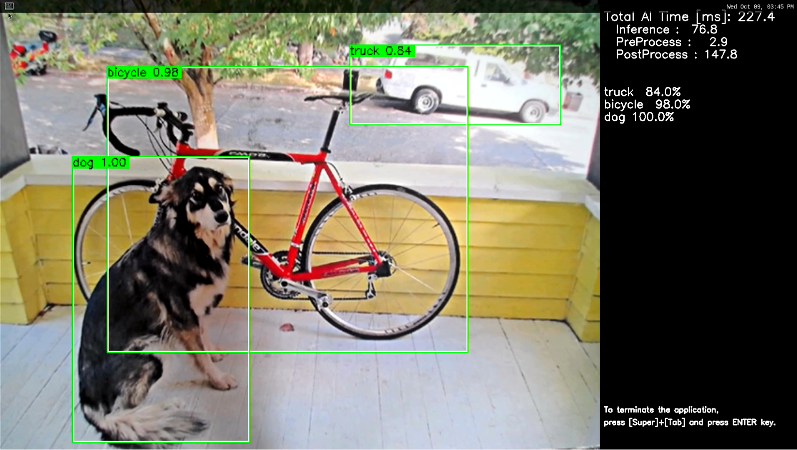 object_detection
