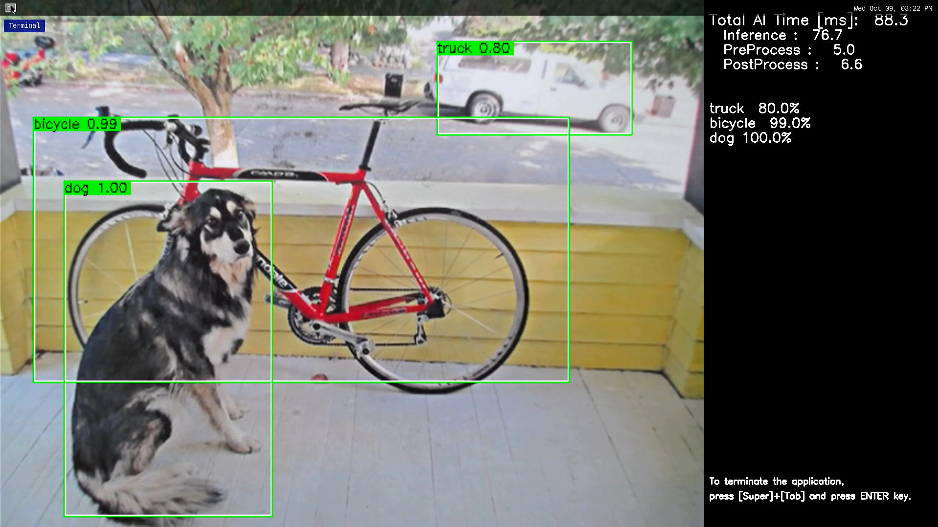 object_detection